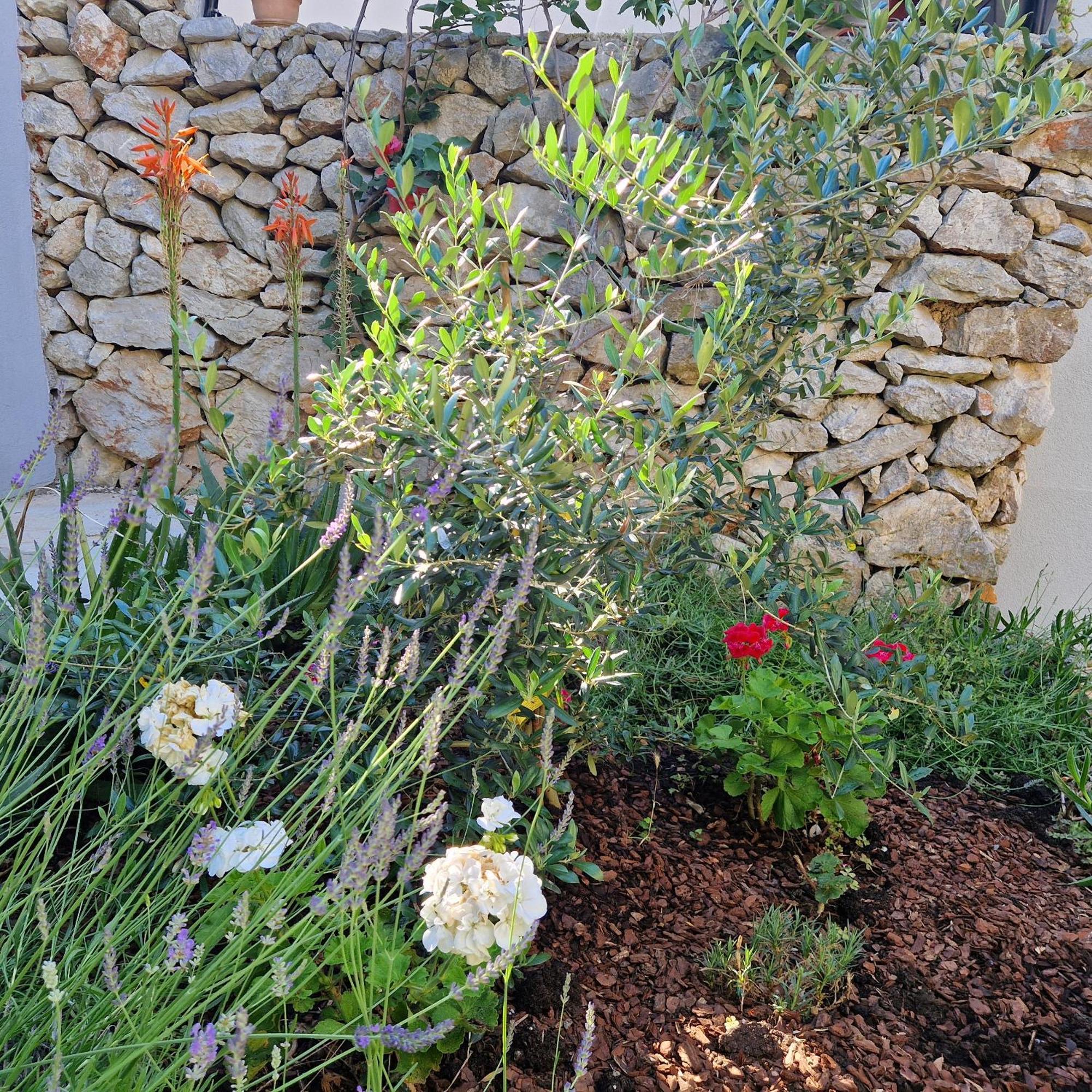 Apartamento Castel Mali Lošinj Exterior foto